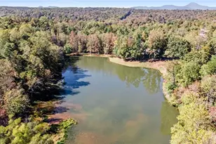 301 Kissimmee Trail, Cornelia, GA 30531 - Photo 68