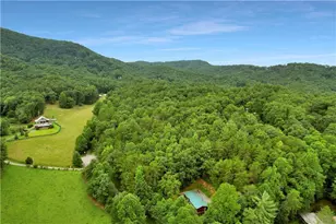 1390 Snake Nation Rd, Blue Ridge, GA 30513 - Photo 46