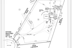 5345 Double Branches Dr, Cumming, GA 30040 - Photo 1