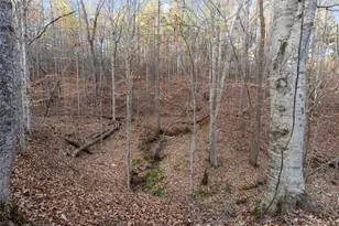 573 Old Yorkville Rd, Dallas, GA 30157 - Photo 42