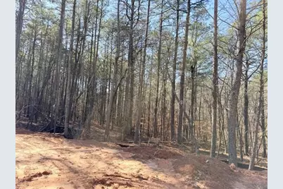 2121 Highway 101 N, Dallas, GA 30157 - Photo 8