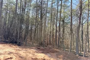 2121 Hwy 101 N, Dallas, GA 30157 - Photo 8