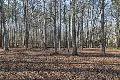 6896 Heardsville Road, Cumming, GA 30028 - Photo 40