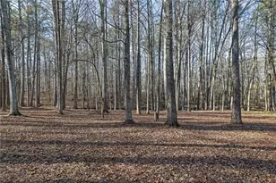 6896 Heardsville Rd, Cumming, GA 30028 - Photo 40