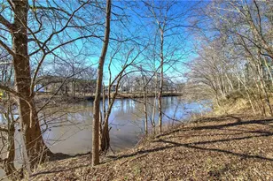 47 Cliffhanger Point, Euharlee, GA 30145 - Photo 56