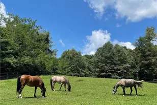 304 Sunset Ct, Jasper, GA 30143 - Photo 64