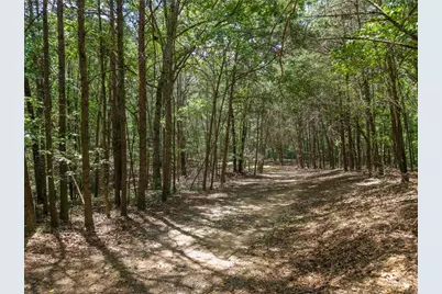 0 Mount Pleasant Road NE, Fairmount, GA 30139 - Photo 8