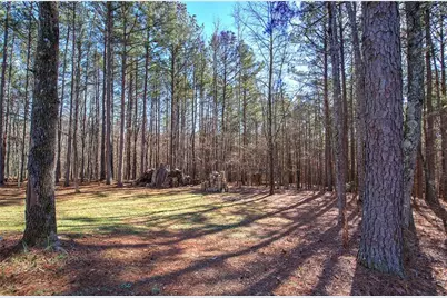 45 Gordon Road, Taylorsville, GA 30178 - Photo 22