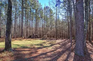 45 Gordon Rd, Taylorsville, GA 30178 - Photo 22