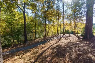 2009 Towneship Trl, Roswell, GA 30075 - Photo 62