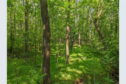 0 Brock Trail, Milton, GA 30004 - Photo 12