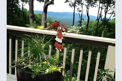 352 Sanderlin Mtn Drive, Big Canoe, GA 30143 - Photo 70