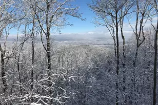 352 Sanderlin Mountain Dr, Big Canoe, GA 30143 - Photo 64