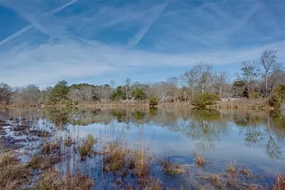 4651 Dahlia Drive, Pine Lake, GA 30072 - Photo 66