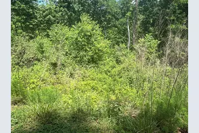 75 Hope Court, Ellijay, GA 30540 - Photo 10