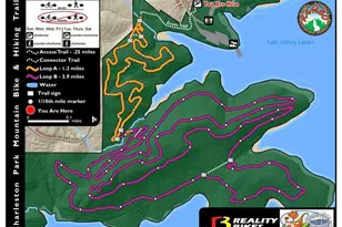 5745 Charleston Ln, Cumming, GA 30041 - Photo 38