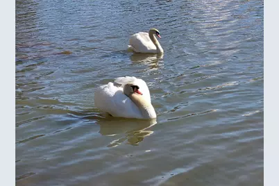 567 Lillian Way, Jefferson, GA 30549 - Photo 56