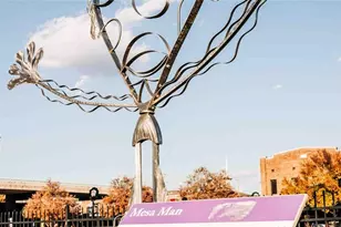 103 Garland Gable Dr, Cartersville, GA 30120 - Photo 60