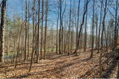 687 Moccasin Gap Road, Jackson, GA 30233 - Photo 10