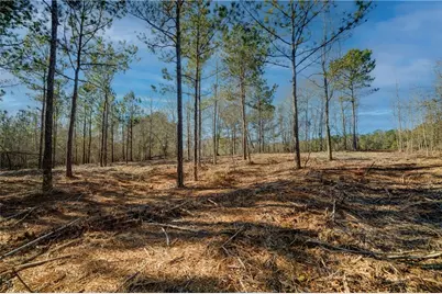 689 Moccasin Gap Road, Jackson, GA 30233 - Photo 8