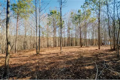 691 Moccasin Gap Road, Jackson, GA 30233 - Photo 8
