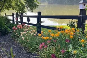 2308 Rackley Rd, Ellijay, GA 30536 - Photo 78