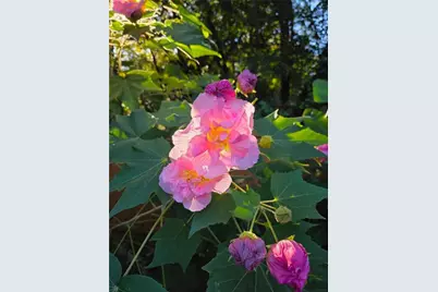 658 Sunstede Drive, Decatur, GA 30033 - Photo 58