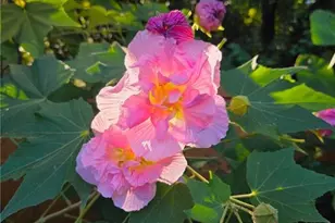 658 Sunstede Dr, Decatur, GA 30033 - Photo 58