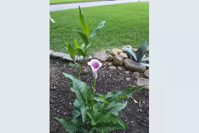 658 Sunstede Drive, Decatur, GA 30033 - Photo 56