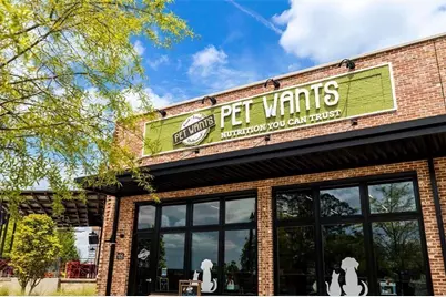 150 Rolison Way, Fayetteville, GA 30214 - Photo 60