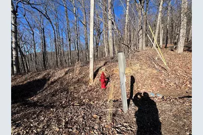 245 Sassafras Mountain Trail, Jasper, GA 30143 - Photo 8