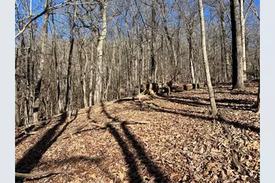 245 Sassafras Mountain Trail, Jasper, GA 30143 - Photo 6