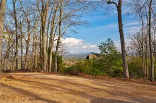 105 Yonah Vw, Dahlonega, GA 30533 - Photo 84