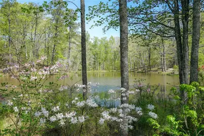 955 Ebenezer Lane, Milton, GA 30075 - Photo 10