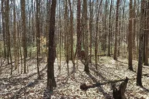 10 Ac Davis Academy Rd Rutledge Ga 30663, Rutledge, GA 30663 - Photo 1