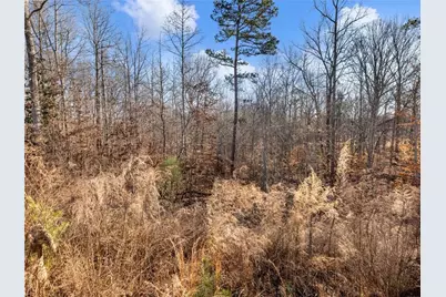 147 Cedar Lane, Dawsonville, GA 30534 - Photo 40