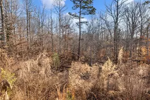 147 Cedar Ln, Dawsonville, GA 30534 - Photo 40