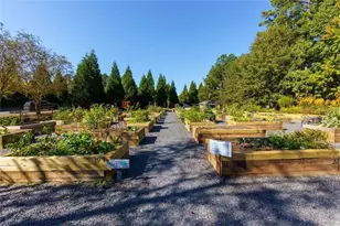 3346 Sweet Plum Trce, Gainesville, GA 30504 - Photo 50