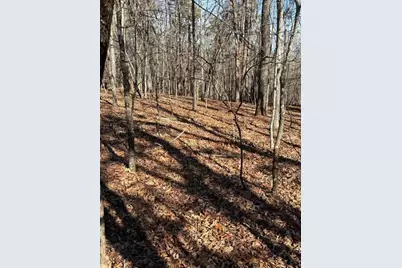 0 Grindle Bridge Road, Dahlonega, GA 30533 - Photo 4