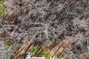 651 Taylorsville Macedonia Rd SW, Taylorsville, GA 30178 - Photo 42