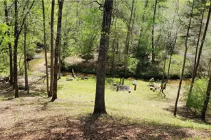 446 Pine Ln, Mineral Bluff, GA 30559 - Photo 52