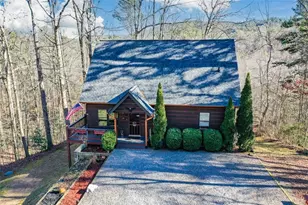 446 Pine Ln, Mineral Bluff, GA 30559 - Photo 42