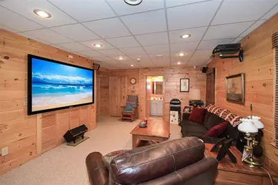 446 Pine Lane, Mineral Bluff, GA 30559 - Photo 30