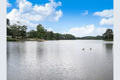 7227 Lake Sterling Boulevard, Flowery Branch, GA 30542 - Photo 70