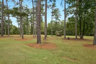 334 Luther Bailey Rd, Senoia, GA 30276 - Photo 12