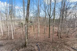 6019 Old Howser Mill Rd, Gainesville, GA 30506 - Photo 36