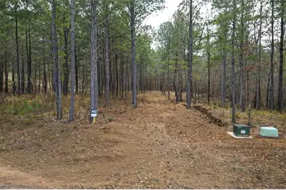 2834 Twisted Oak Road, Ellijay, GA 30536 - Photo 4