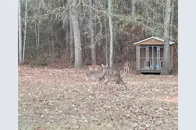 350 Lee Paul Road, Hawkinsville, GA 31036 - Photo 44