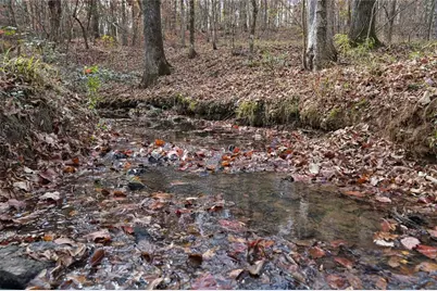 350 Lee Paul Road, Hawkinsville, GA 31036 - Photo 40