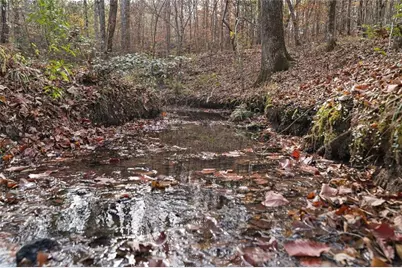 350 Lee Paul Road, Hawkinsville, GA 31036 - Photo 42